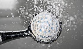 Эвкалиптовый душ — новая мода ухода за телом